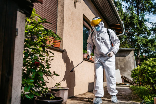 Best Best Pest Control Companies  in Hawley, MN