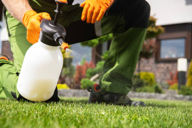 Best Residential Pest Control  in Hawley, MN