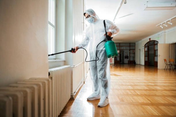 Professional Pest Control in Hawley, MN