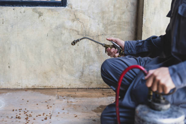 Best Pest Control Near Me in Hawley, MN